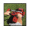 Einhell Einhell RASARRO Push lawn mower Battery Black  Red 7