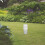 Rain Gauge Wasser Messgerät Für 3