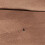 Filehalter Dokumente Tragbar 10