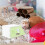 Hamster Versteck PVC 1 Set 6