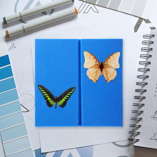 2Pcs Blue Eva Foam Insect Pinning Boards Durable Specimen Display Kit 2