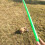 Dog Pole Funny Training Tuff Kleiner Anregender Grün 10