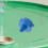 Zehuanyu Computer Adapter Ventil 8,50x7,00x6,00 cm Blau 5