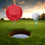Zcyifa Golf Tee Marker Gekleurde Voor Golfbaan 4