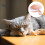 1 Set Katzenstreu Pet Pink PP 7