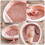 1 Set Katzenstreu Pet Pink PP 10