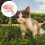 1 Set Katzenstreu Pet Pink PP 6