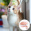 1 Set Katzenstreu Pet Pink PP 9