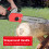 1800W Electric Chain Saw 16" Light Weight Multi Angle Cut 110V 5