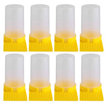 8Stk. Outdoor Futterstation Pp Mehrfach Robuste Bienen Wasser
