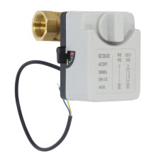 Motorisiertes Kugelhahn 2-Draht 2-Wege AC220V DN20 offen