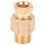 (PD618) Brass Oil Pipe Connector Straight Adapter PD618 1