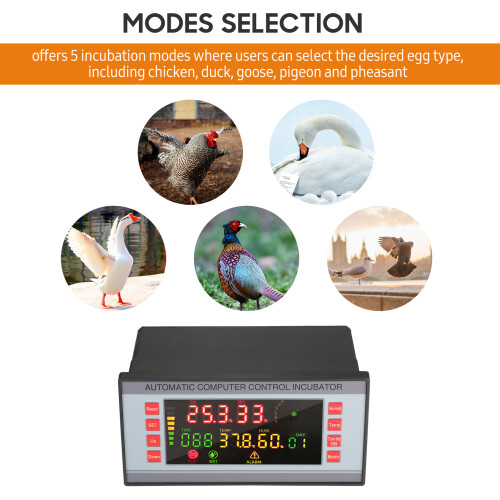 LED-Farbbildschirm Inkubatorregler Digital Temp Feuchte 5 Modi 2