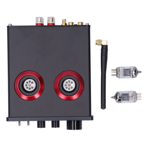 Digitaler Audioverstärker Dual-Core Überspannungsschutz