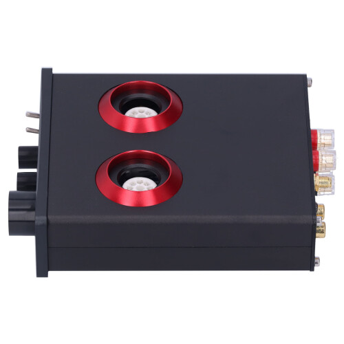 Digitaler Audioverstärker Dual-Core Überspannungsschutz 2