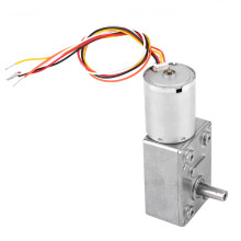 Bürstenloser Schneckenmotor 12/24V 4-150U/min