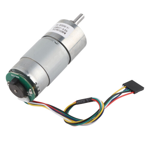 Großes Torsionsgetriebemotor 12/24V Encoder 100 U/min