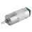 Large Torsion Gear Motor with Encoder 12/24V 12V 300RPM 5