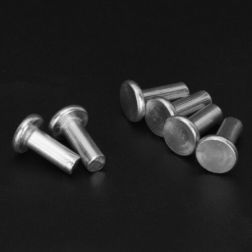 100x M4 Flachkopf-Aluminiumnieten M4*12 2