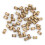 M2.5 Messing-Einpressmuttern Zylindrisch Riffel M2.5*6*3.5, 50Stk 2