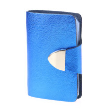 Credit Case Credit Holder Organizer