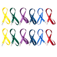 12Stk Lanyards Mit Haken Für Schlüssel Und Ausweise
