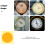 Worgeous 10 Gnome Drukmanometer Identificatiesticker 7