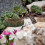 Pet Birdbath Harz Leopard Schildkröte 11