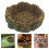 Pet Birdbath Harz Leopard Schildkröte 5