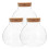 Mini Gewächshaus Terrarium Glasflasche Transparent 3 1