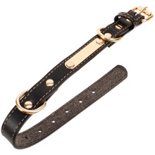 Tragbares Halsband Für Und Welpen, Hautfreundlich,