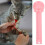 Chat Rose Compacte Usage 6