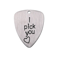 Zilveren Carved Guitar Pick Van Titanium Steel Accessoires