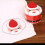 2Stück Weihnachtskuchen Modellier Baumwolltuch Waschlappen Geschenk 11