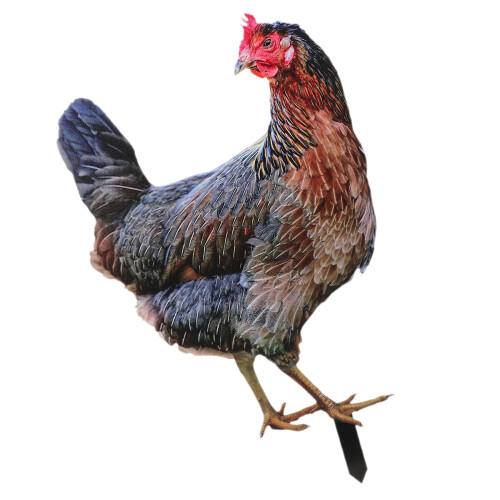 3Stück Huhn Garten Schild Outdoor 1