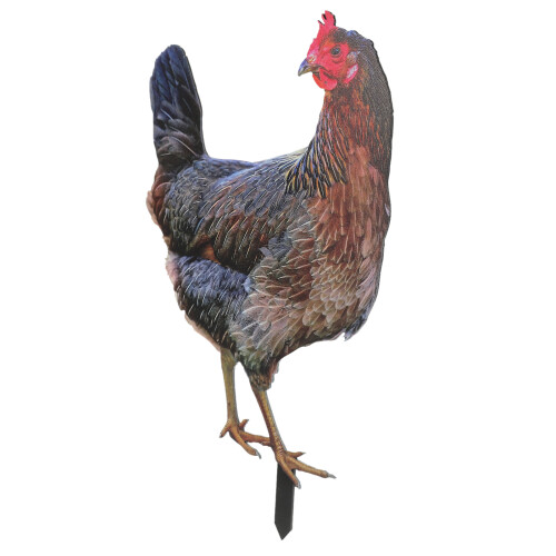 3Stück Huhn Garten Schild Outdoor 2