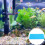 2Stk. Aquariumfilter Filterwatte Schwammfilterelement 7