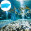 2Stk. Aquariumfilter Filterwatte Schwammfilterelement 6
