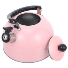 Edelstahl Flötenkessel Pink Mit Anti-Hitzgriff Für Herd