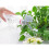 Raindrops Gartengießflasche Mit Sprinkler Aufsatz Set 10