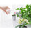Raindrops Gartengießflasche Mit Sprinkler Aufsatz Set 11