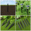 Garten Solar Erdspieß Kunststoff 15 3
