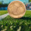 Fußball Für Kinder Golden PVC 1 Set 6