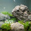 1Pack Aquarium Kies Steine Chips Für Fischtanks 3