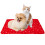 Dog Pads Kleine Doek Rood 2 10