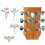 Guitar Head Sticker Guitar Headstock Decals Removable-Red rose 2