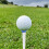 10 Golf-Tee Marker Mit Halter Und Figur Weiß 8