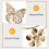 2 Schmetterling Gardinenhalter Elastische Schnur Gold 8