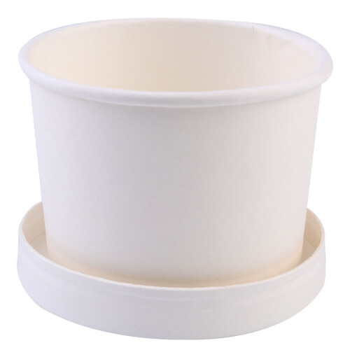 25Ensembles Coffrets Glace Blancs Pour Usage Domestique Et Festif