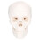 Skull Modell Mini Realistische Gesichtsskulptur Für Desktop 6